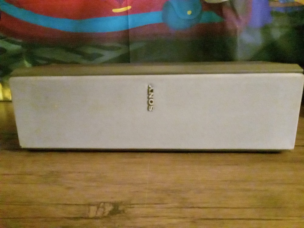 Sony SS-T900 Magnetically Shielded Speakers 120W Max Input Tested Working