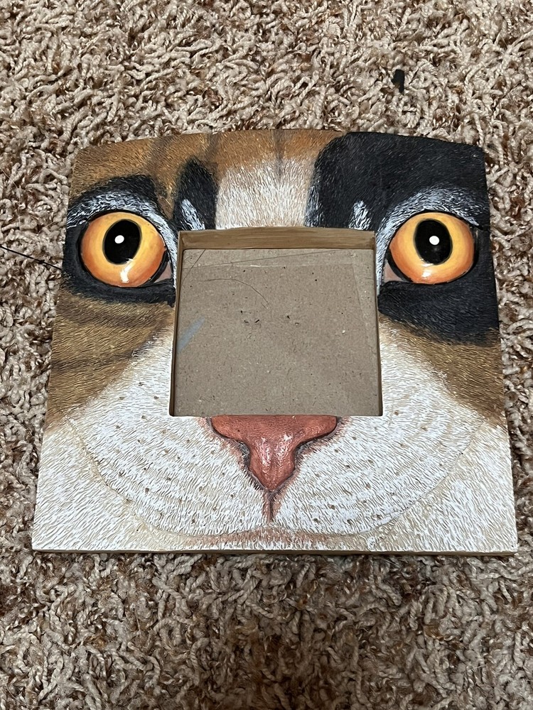 Cat Face Picture Frame Size 3x3 Picture 3D Face Kitty Cat Gold  Eyes