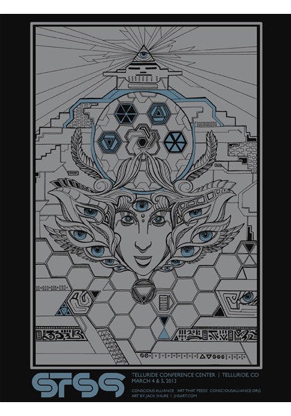 STS9 2013 Telluride Concert Poster - Wall Art Home Decor No Frame