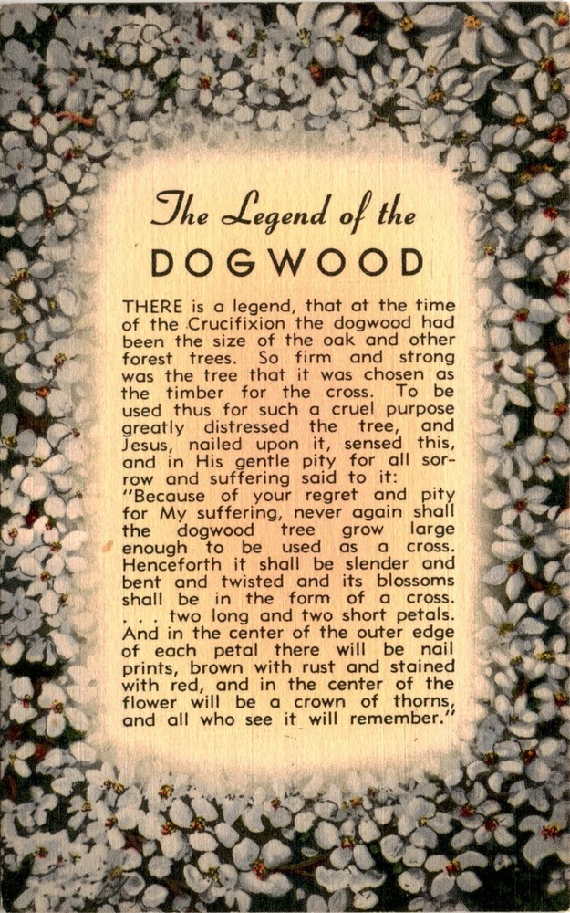Legend, Crucifixion, Jesus, dogwood tree, cross, sorrow, suffering, Postcard