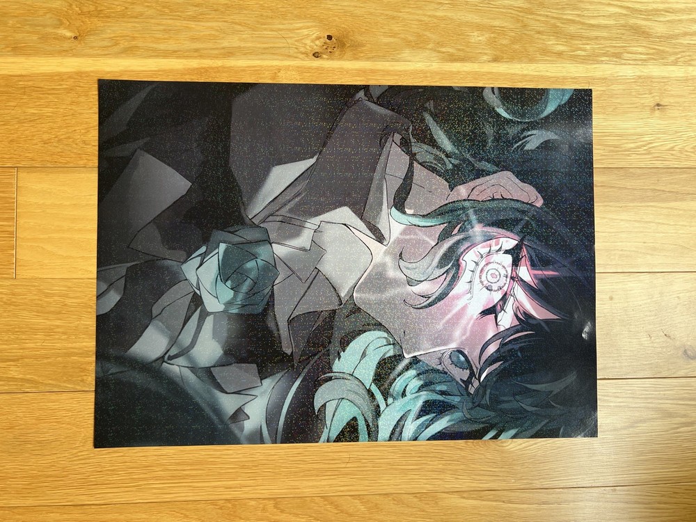 Ado Official World Tour 2025 Hibana Poster - Original Holographic Never Used