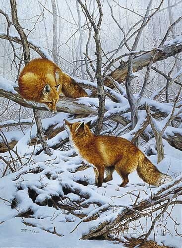 Bonnie Marris Courtship Fox Love Art Limited Edition Print AP RARE