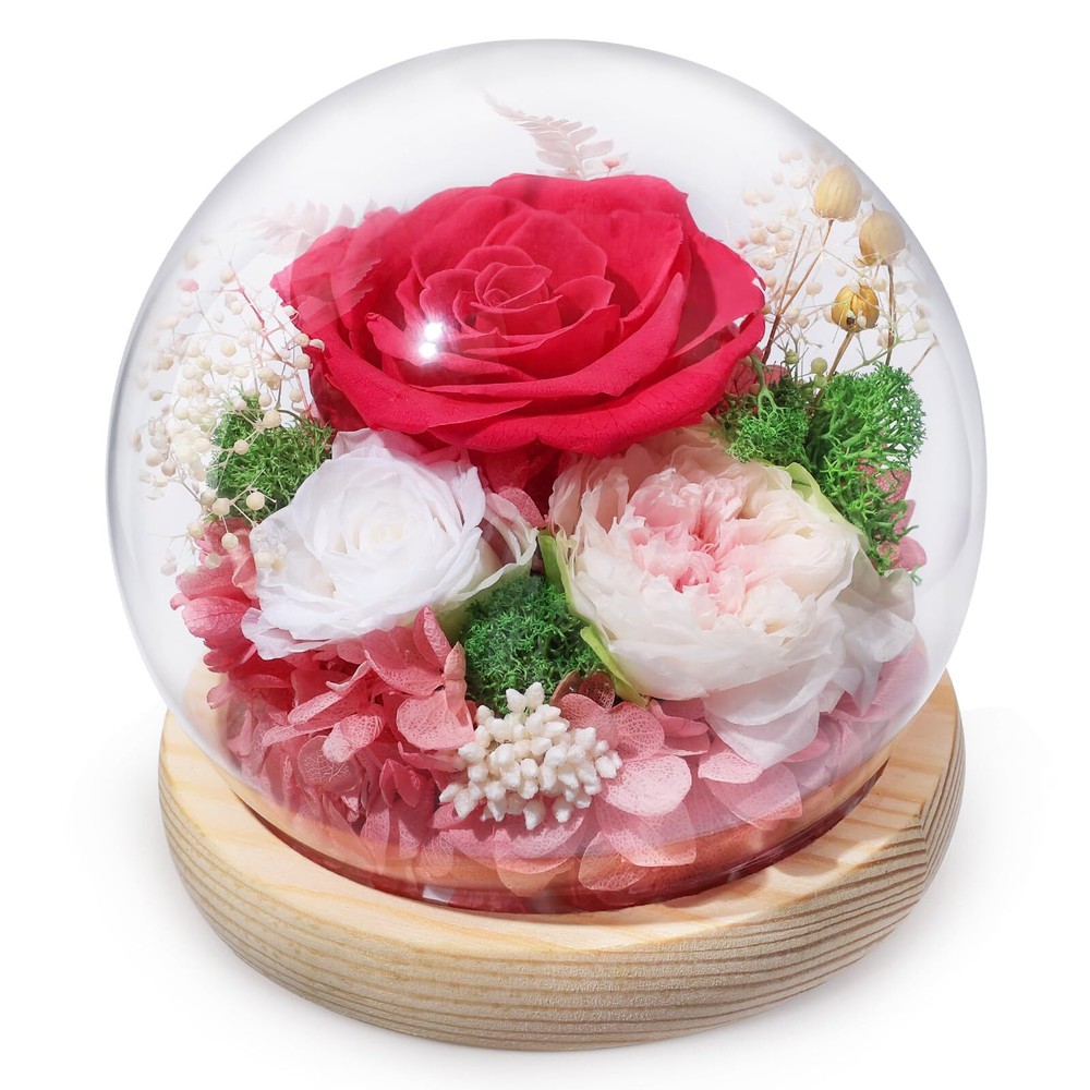 Valentine's Day Gifts for Her Preserved Real Flowers Eternal Rose in Glass Do...