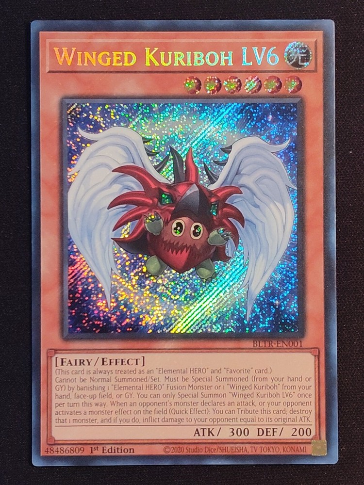 Winged Kuriboh LV6 Yu-Gi-Oh 1st Edition Secret Rare Holo Foil Card Near Mint NM