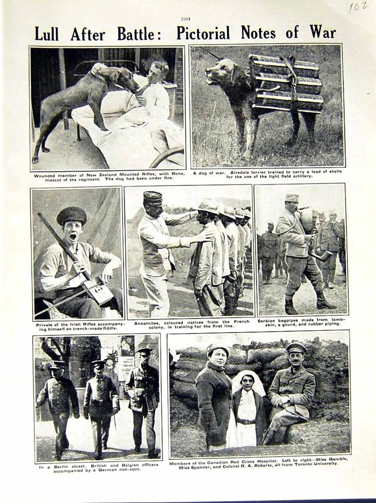 Original Old Antique Print 1916 World War New Zealand Siers Berlin Serbian Army