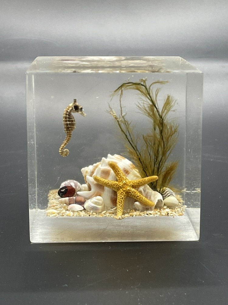 Vintage 1960's Mid Century Clearfloat Lucite Seashell Seascape Paperweight 2.5