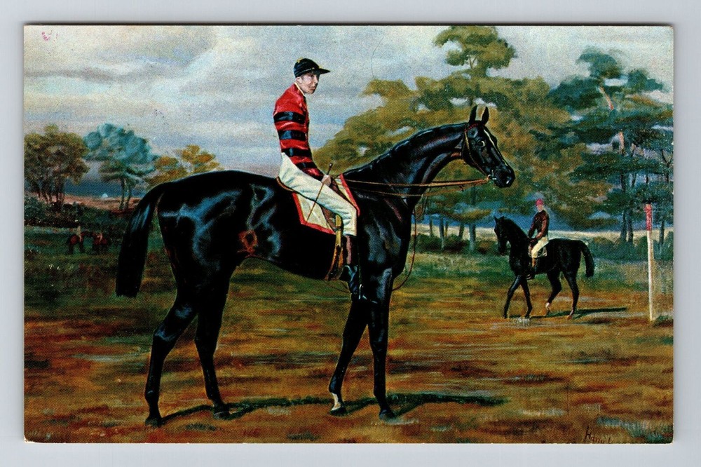 Nashville TN-Tennessee, Iroquois, Rider And A Horse, Vintage Postcard