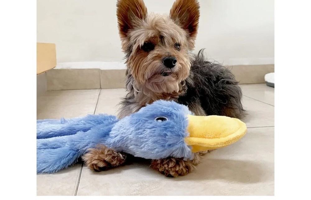 Crinkle Dog Toy for Small, Medium, and Large Breeds, Cute No S