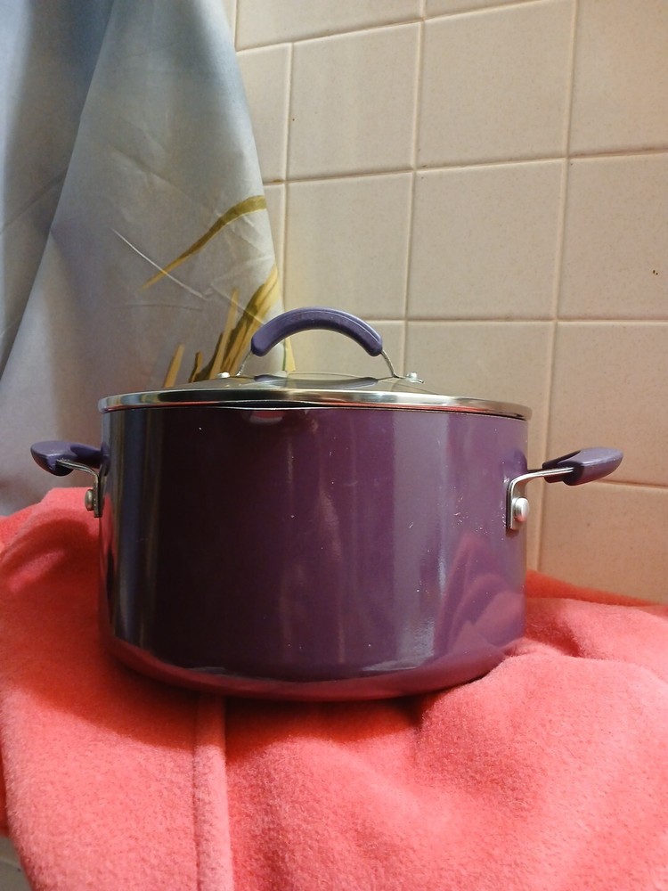 Cooks Essentials 6qt Purple Enamel Non Stick Aluminum Dishwasher Safe Pot W/ Lid