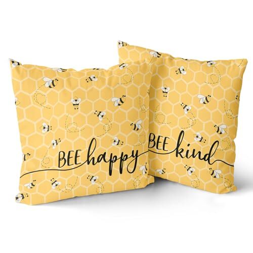Summer Bee 18×18 Inch Pillow Covers Set of 2 Happy Kind Design