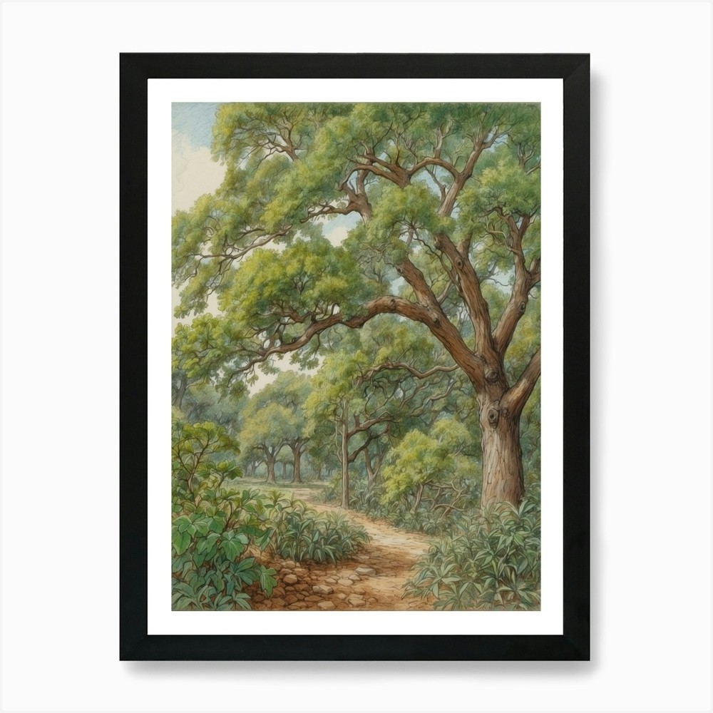 Path Through The Woods 1 Art Print Framed Wall Art Poster Canvas Print Picture