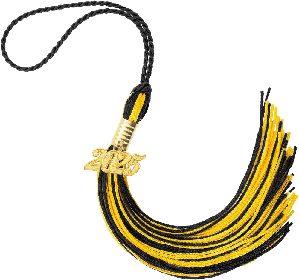 2025 Graduation Tassel,2025 Graduation Cap Tassels,2025 Tassel with 2025 Year Go