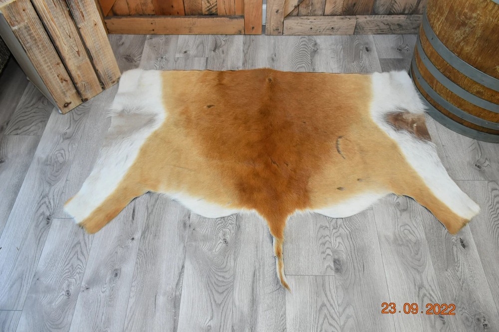 Deer Antelope Skin S-3 57