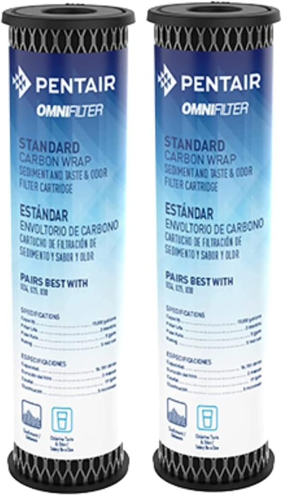 Pentair Omnifilter TO1 Carbon Water Filter, 10-Inch, Standard Whole House Carbon