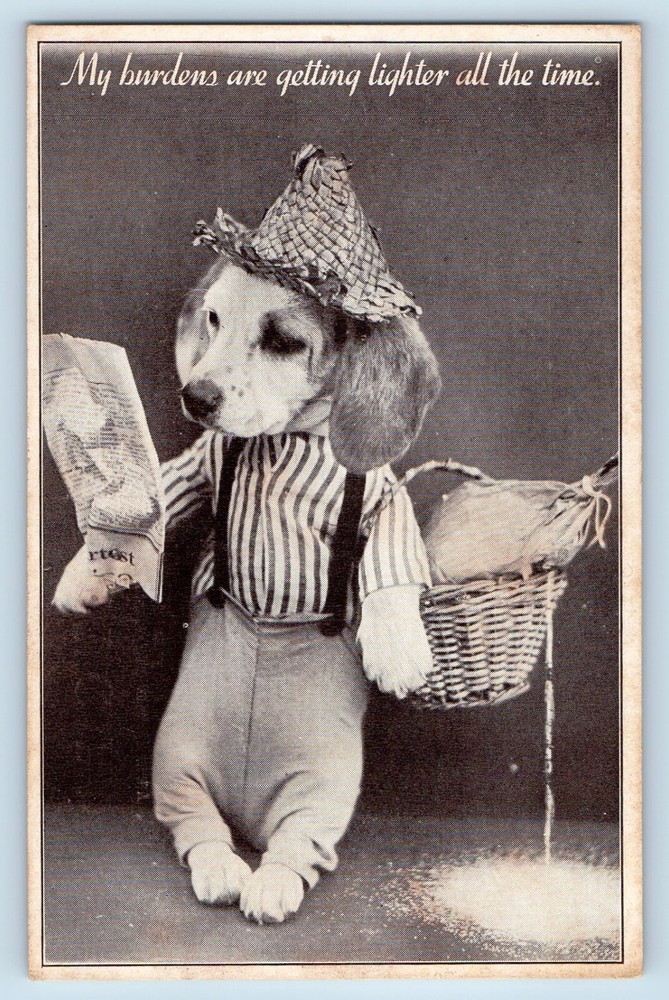 c1910's Anthropomorphic Dog Holding Basket Reading Newspaper Antique Postcard