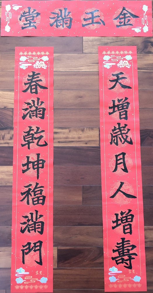 2025 Year of Snake Handwritten Set Of 3 Couplets Wall Decoration蛇年3件手寫春聯.春16天增歲月
