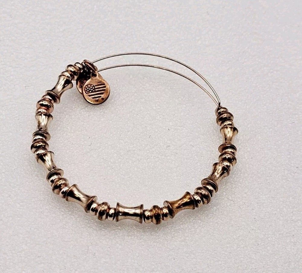 ALEX & ANI Multi Colored Rose & Golden Metal Beaded Charm Bangle  Bracelet ✨️💥