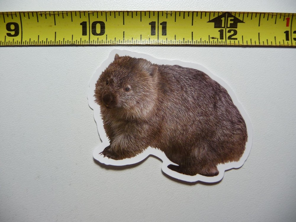 Adorable Baby Wombat Wildlife Sticker - Australian Nature Animal Decal