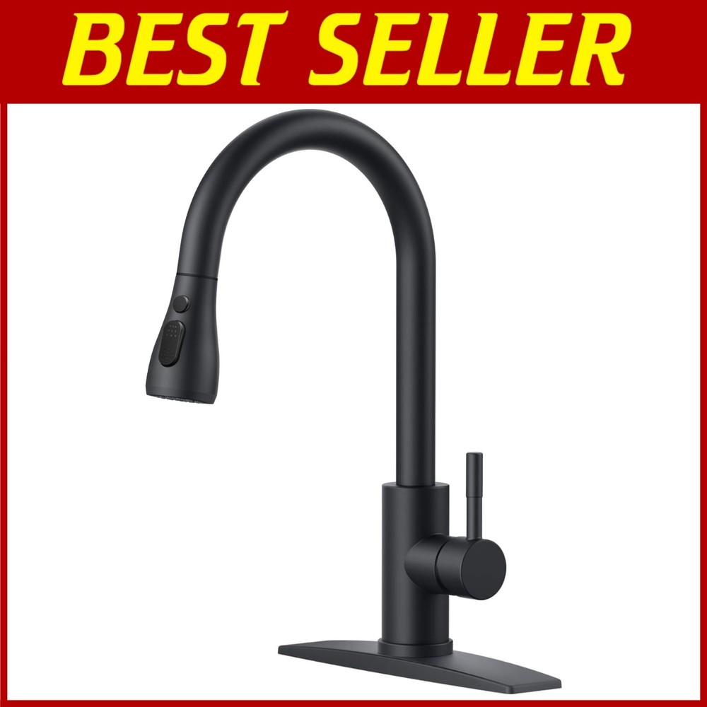 Matte Black Stainless Steel Faucet with Pull Down Sprayer