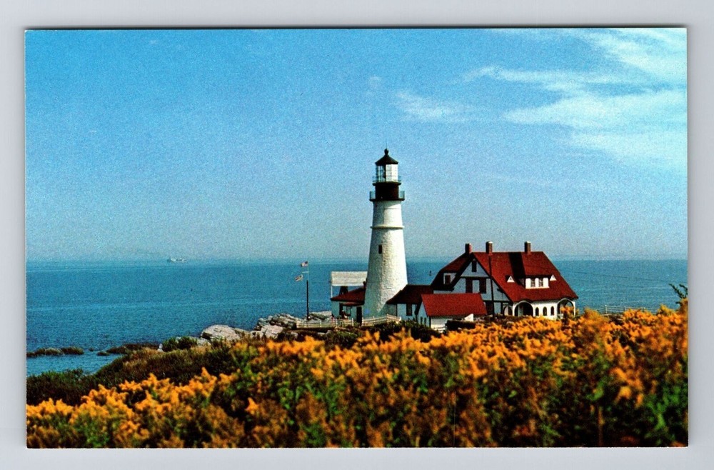 Portland ME-Maine Scenic Lighthouse in Field Yellow Flowers Vintage Postcard