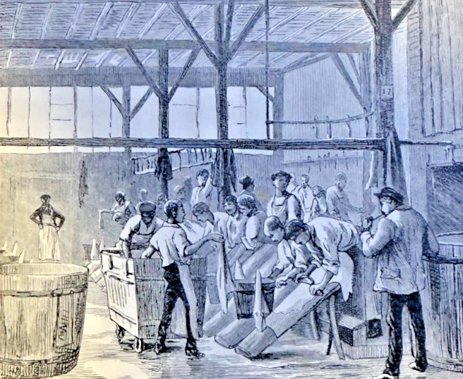 1886 How Kid Gloves Are Made