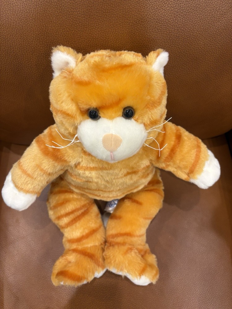 25th Anniversary Build-A-Bear Floppy Kitty 16