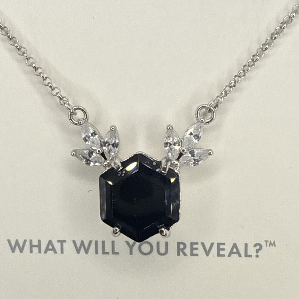 BP Black Onyx Sterling Silver Necklace RBP7680