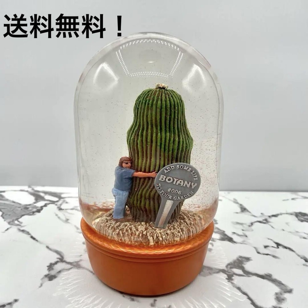 Dulton Cactus Uncle Themed Stylish Snow Globe Decoration