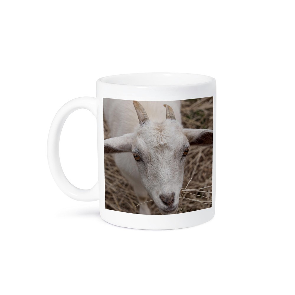 3dRose Young Goat Photo Ceramic Mug