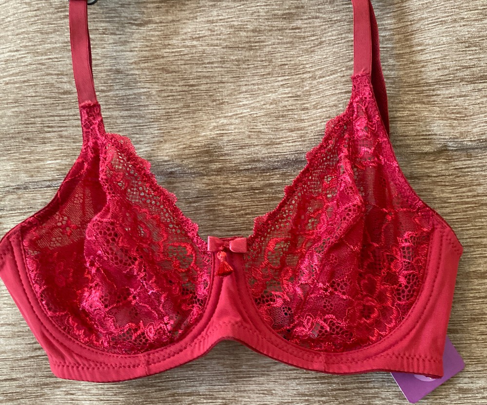 CLEARANCE SALE BWITCH LADIES WOMEN'S  GIRGER RED UNDERWIRED LACE BRA SIZE 34C-image