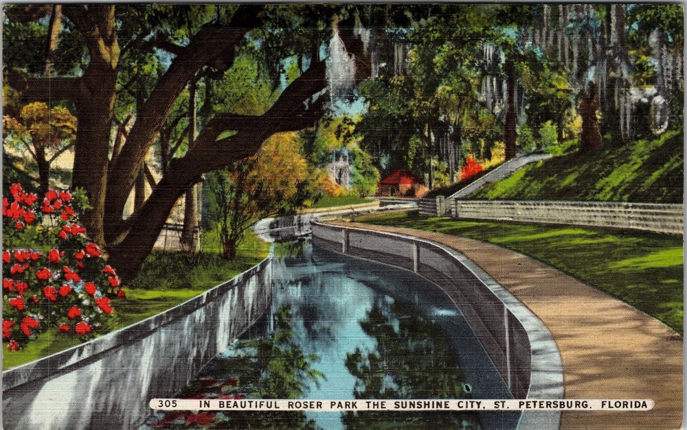 St Petersburg FL Roser Park Canal Live Oak Tree Moss Vintage Postcard