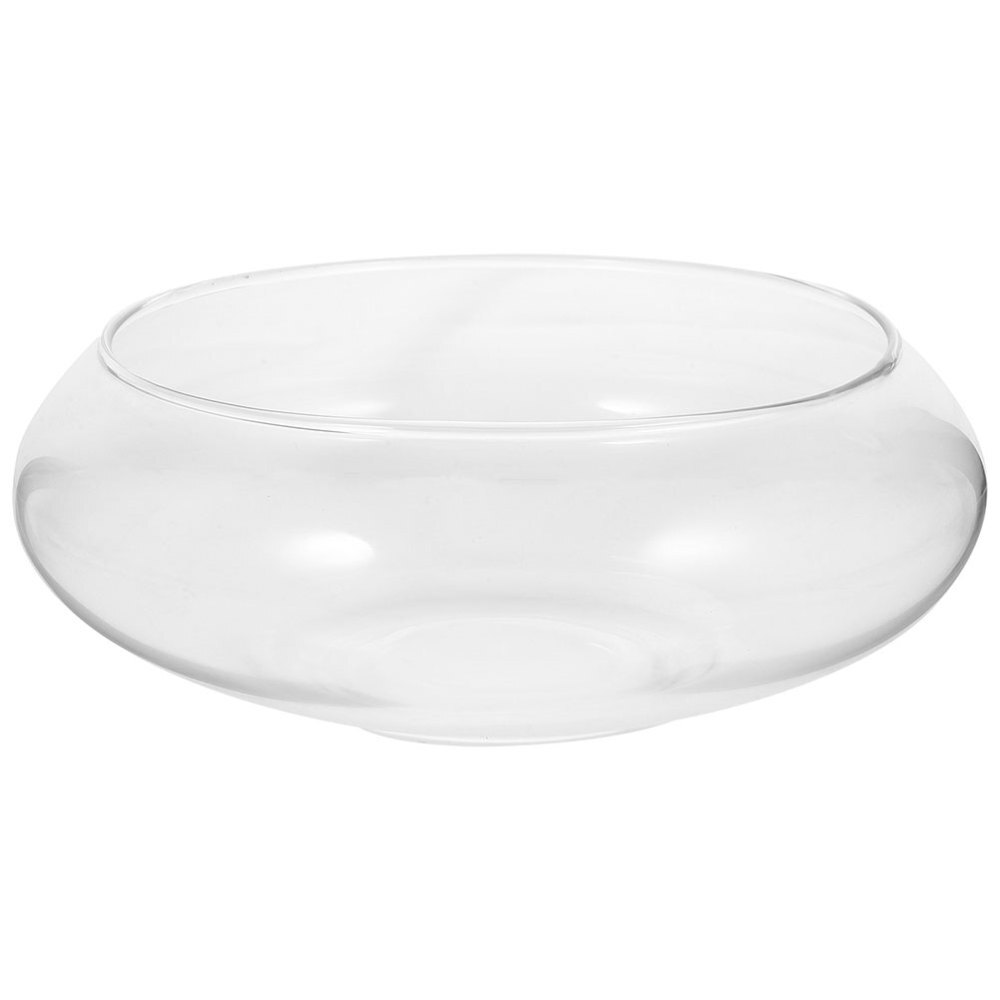 Small Glass Succulent Planter Pot for Plants and Flowers  
