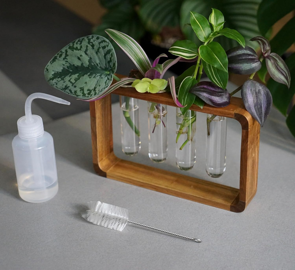 Plant Propagation Station Acacia Wood Stand 4 Glass Test Tube Hydroponic Decor