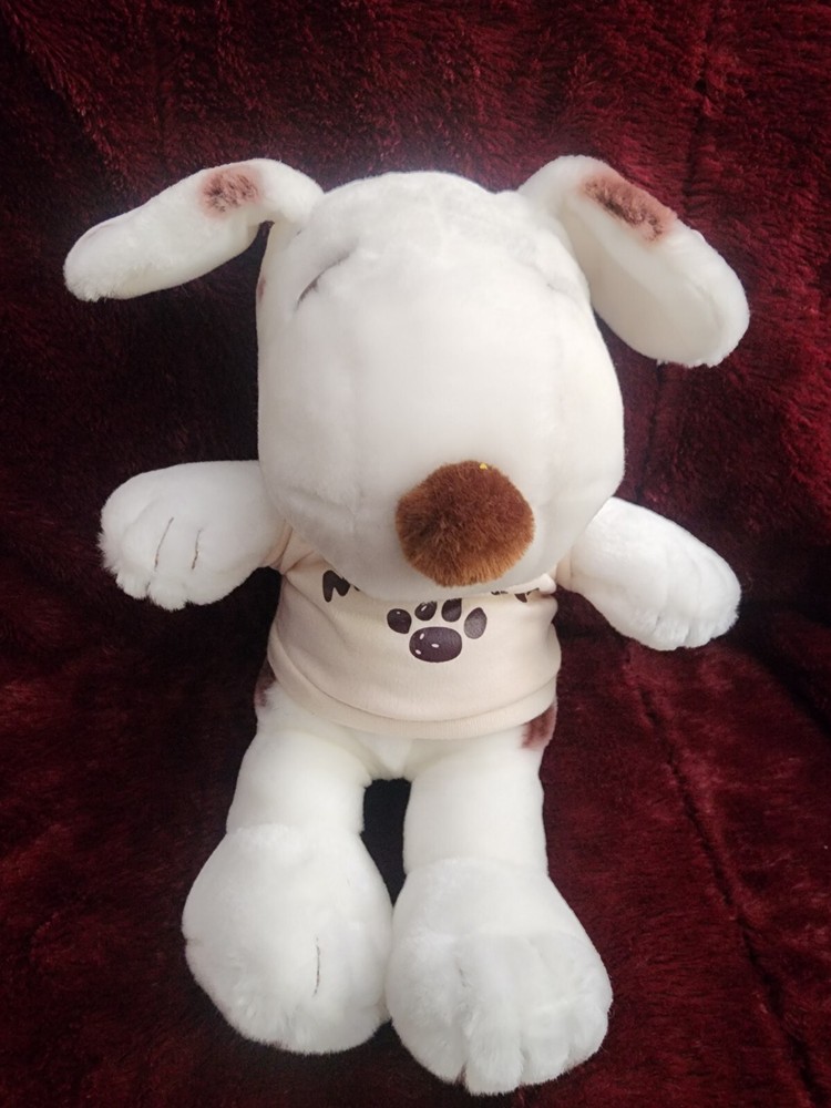 Snoopy 10 Inch Soft Plush Rag Doll Marbles Cedar Fair Peanuts 2011 VGC