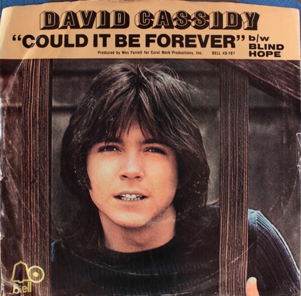 David Cassidy - Could It Be Forever (7