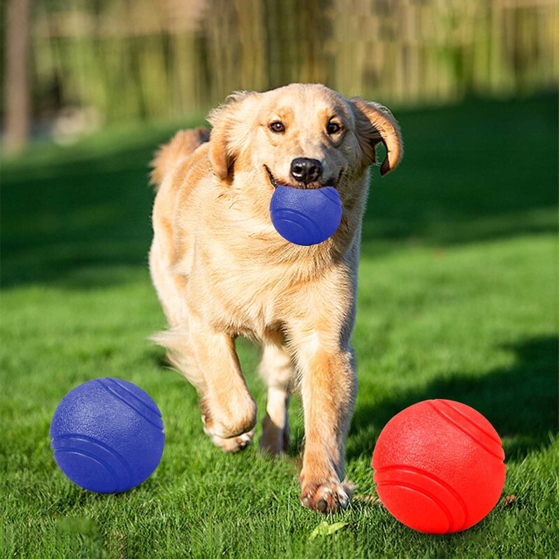Dog Solid Balls Rubber Chew Toy for Dogs Premium Solid Bite-Resistant Ball