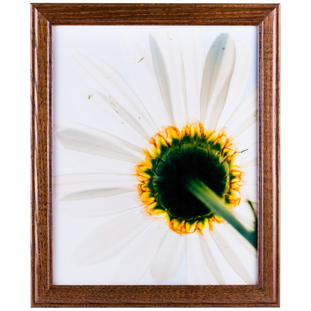 Wiltshire 236 Simple Brown Hardwood 4x10 Inch Picture Frame