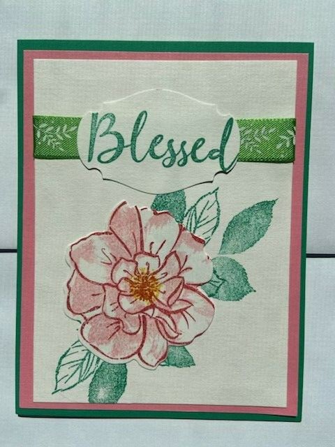 Wild Rose hello thanks birthday blessed card kit of 6 made w/ Stampin’ Up!