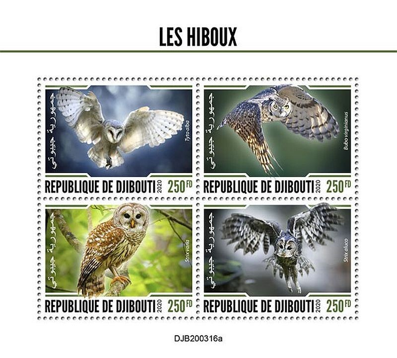 OWLS Birds of Prey 4-Value MNH Bird Stamp Sheet #178 (2020 Djibouti)