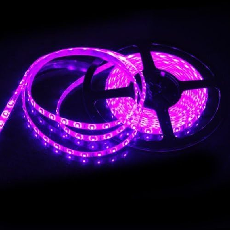 5M Waterproof IP65 300 LED 3528 SMD Flexible LED Light Lamp Strip Pink DC 12V