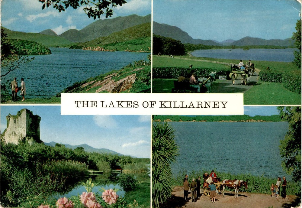 Killarney, Ireland, Jaunting Car, Cardall Ltd., Dublin, Miss Elizabeth Postcard