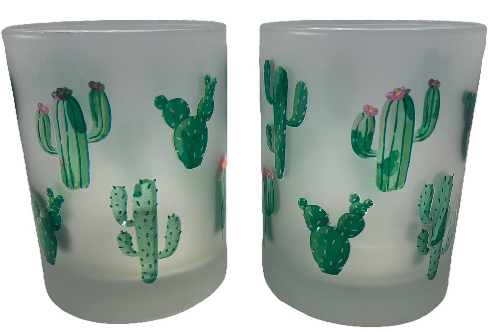 Set of 2 Frosted Desert Cactus Double Old Fashioned Glasses EUC