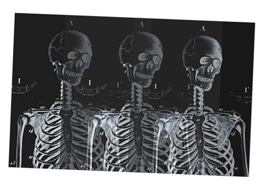 Day of The Dead or Halloween Party Halloween Placemats Table Decor Set of 25