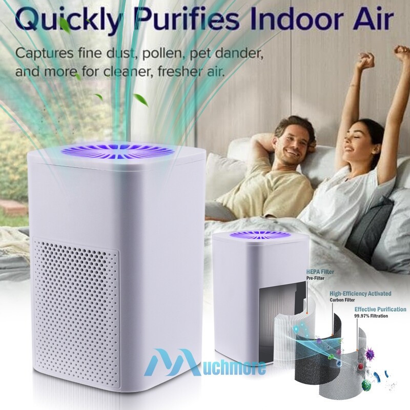 Home HEPA Air Purifier Large Room Air Cleaner for Allergies Smoke Mold Odor Dust