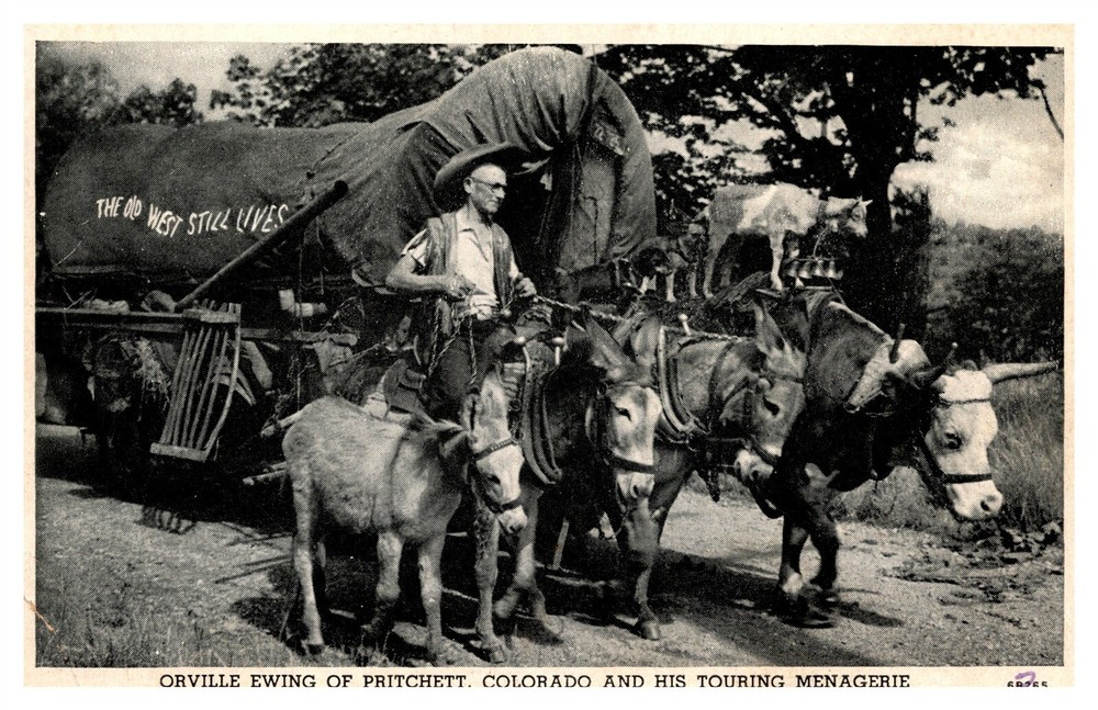 Orville Ewing Pritchett Colorado Touring Menagerie Old West Postcard AF2