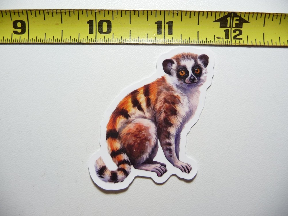 Ring-Tailed Lemur Wildlife Sticker Decal Nature Animal