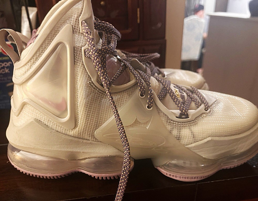 Size 8.5 - Nike LeBron 19 The Cast