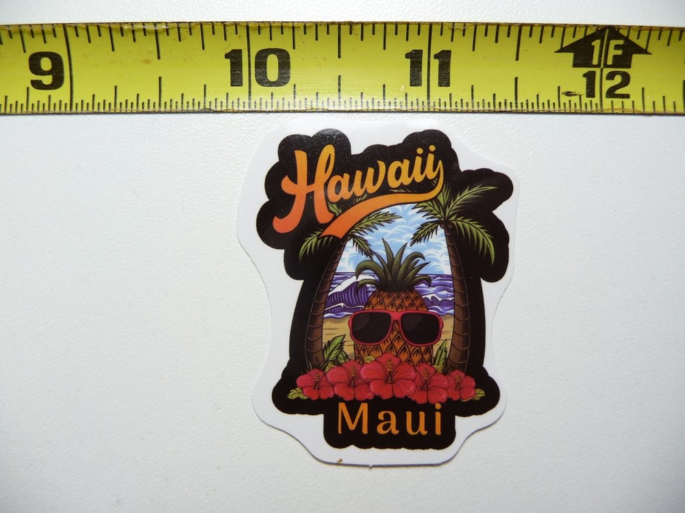 FUNNY PINEAPPLE SUNGLASSES PALM TREES DECAL STICKER HAWAII LOVE VACATION TRIP