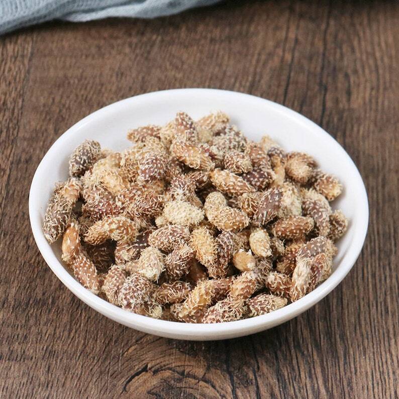 Organic Herbal Siberian Cocklour Fruit Fructus Xanthii Xanthium Sibiricum