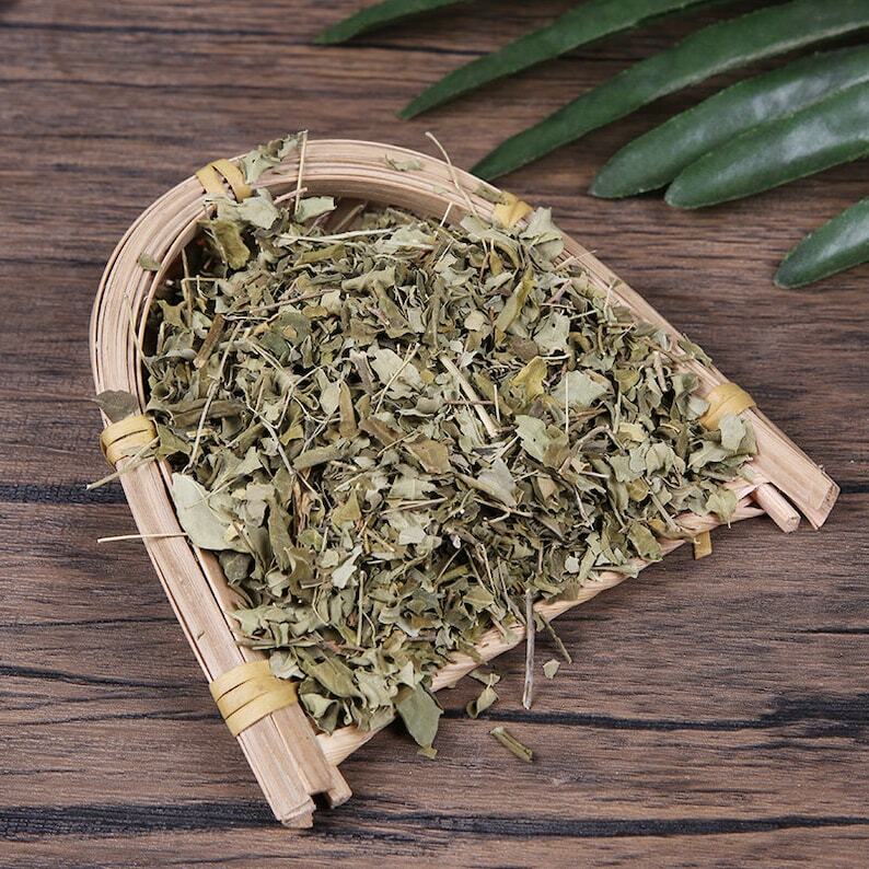 Horseradish Tree Leaf Drumstick Tree Leaves Moringa Oleifera Lamuye Top Quality